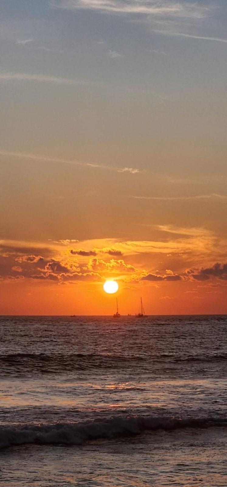 Suncoast Beach Hotel Mirissa Εξωτερικό φωτογραφία
